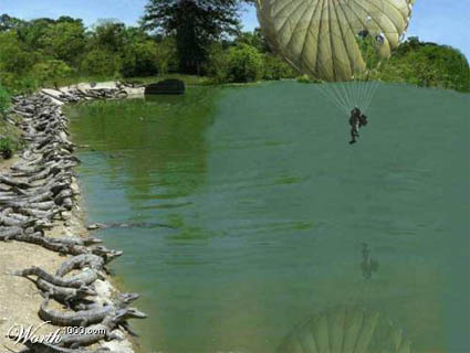 http://www.foundshit.com/images/parachute-gators.jpg