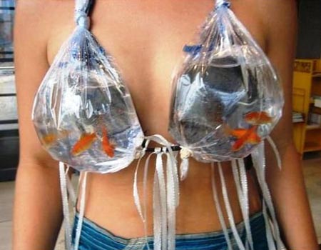 Tags: aquarium, bra, brassiere, fish, goldfish, photo