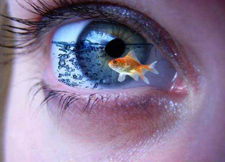 Photoshop Manipulation | Goldfish Eye Aquarium. Found at theChive