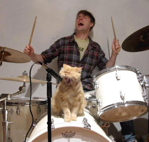 Rock & Roll Kitty Cat