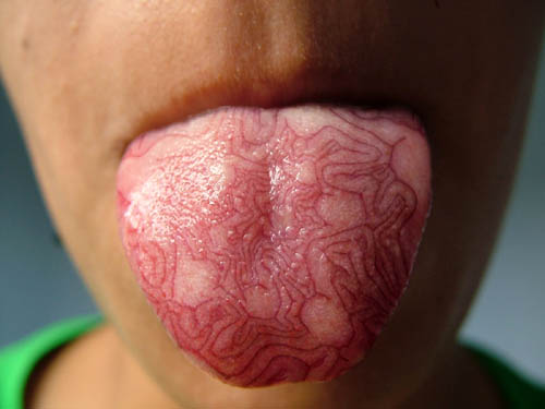 tattoo tongue. Cabbage Texture Tongue