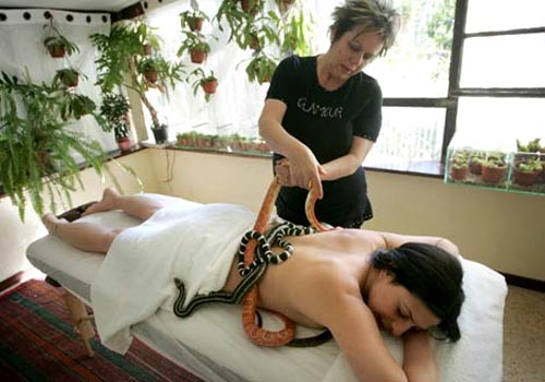 http://www.foundshit.com/pictures/bizarre/snake-massage.jpg