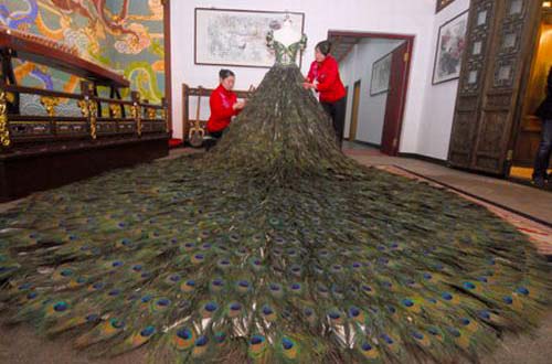 Peacock Feather Dress