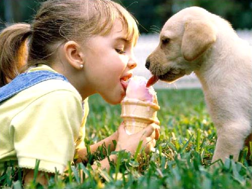 Sharing An Ice Cream Cone With Puppy