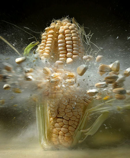High-Speed Still Photography of an Exploding Ear of Corn