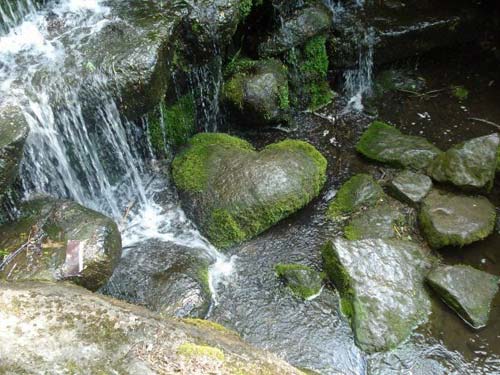 Heart Shaped River Rock