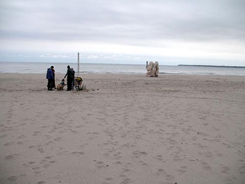 Giant Chicken Carcass Sculpture