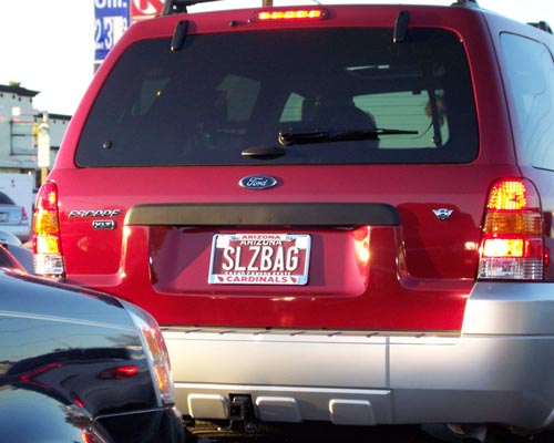 Sleaze Bag Vanity Plate