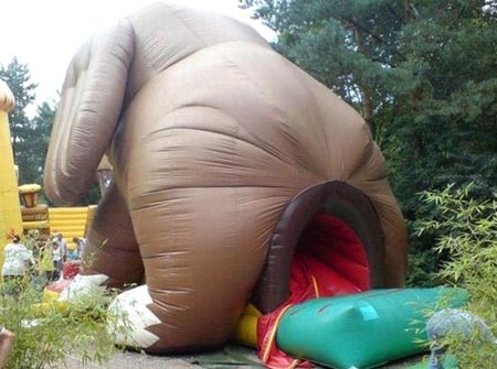 Elephant Slide