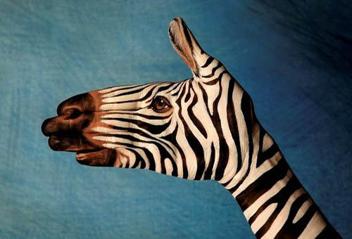 Painted Zebra Hand Puppet