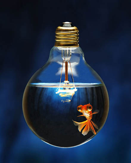 Fishy Idea | Incandescent Fish Bowl