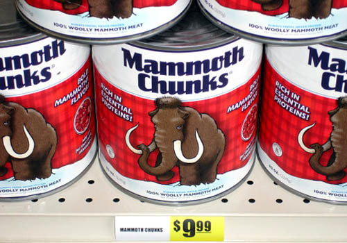 Mammoth Chunks | Travel Mart