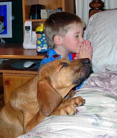 Puppy Prayers