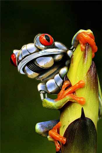 Mechanical Frog Art