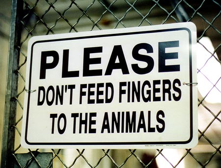 Don't Feed The Animals