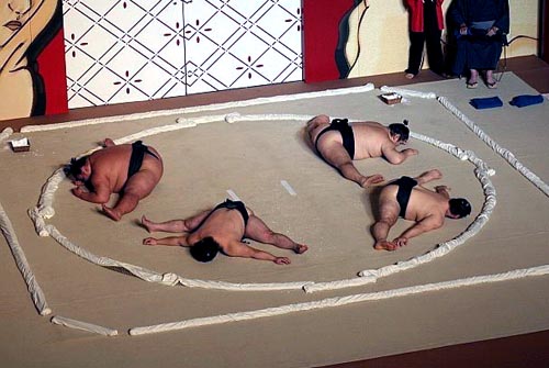 Surprisingly Flexible Sumo Wrestlers