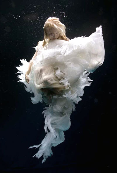 Underwater Photography by Zena Holloway