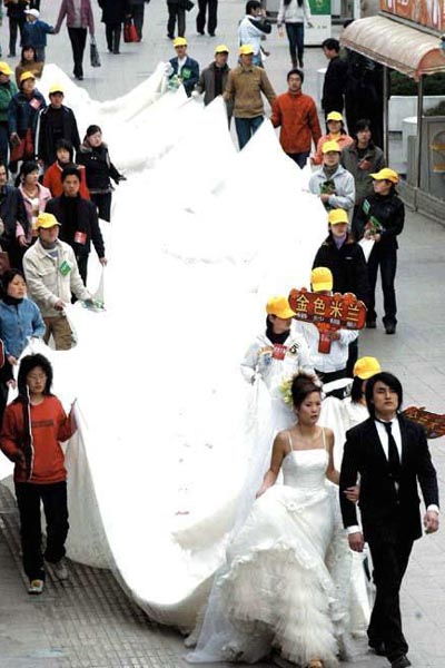 Wedding Dress Bridal Train