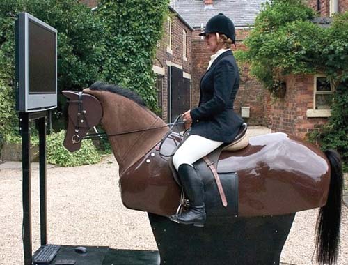 English Riding Horseback Simulator