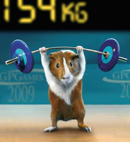 Guinea Pig Games | Weightlifting Barbells