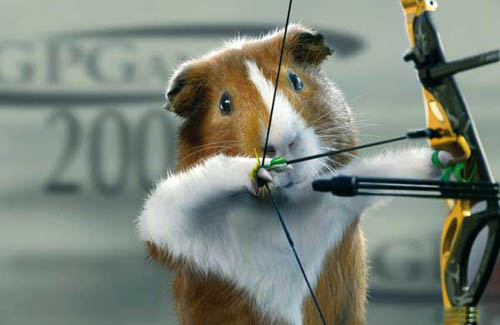 Guinea Pig Games | Archery