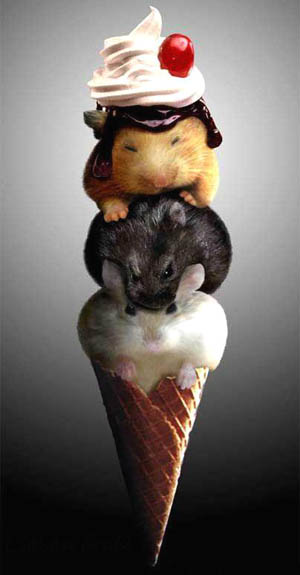 Mouse Ice-Cream Cone