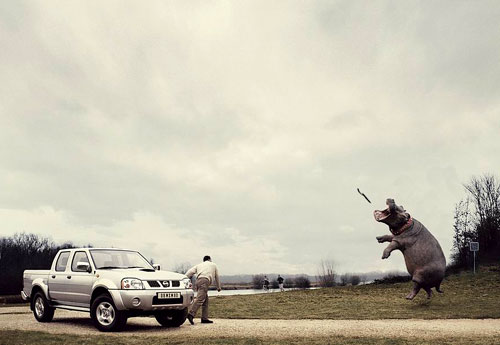 Playing Catch With A Hippopotamus