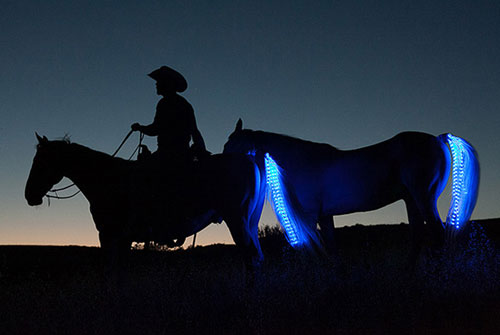 Horse Tail LED String Lights