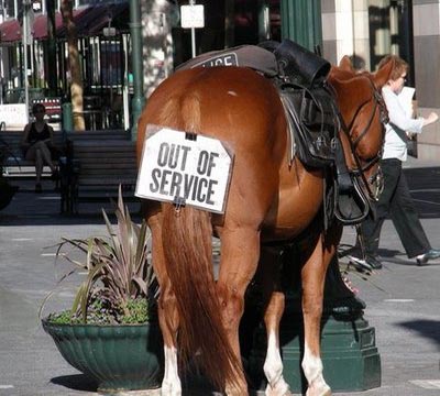 Police Horse With Out Of Service Sign
