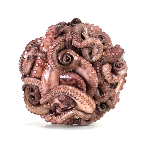 Octopus Temari Ball