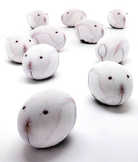 Rabbit Eggs