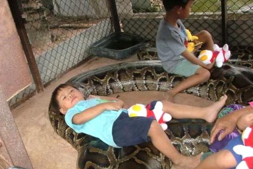 Child Lying On A Huge Snake