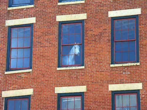 Horse In An Upstairs Window