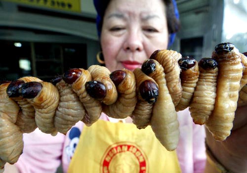 Witchetty Grubs On A Stick