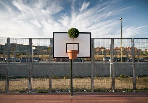 Potted Plant Basketball Hoop