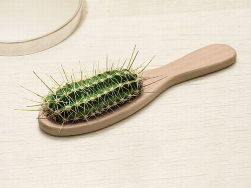 Cactus Hair Brush