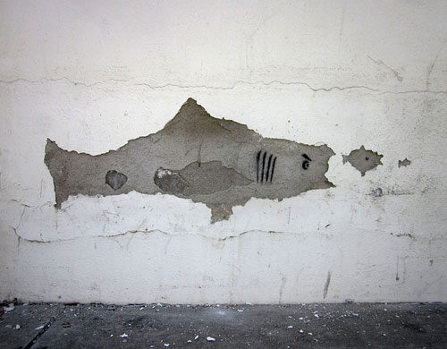 Stucco Wall Shark