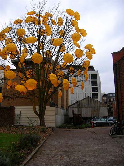 Tree blooming Yellow Umbrellas | Sam Spencers 'Bloom'