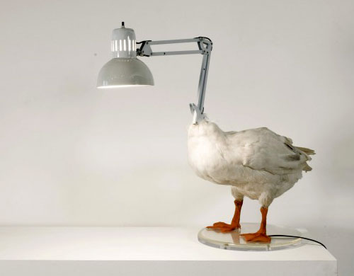 Duck Lamp