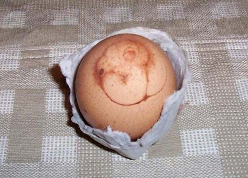 Egg Shell Image