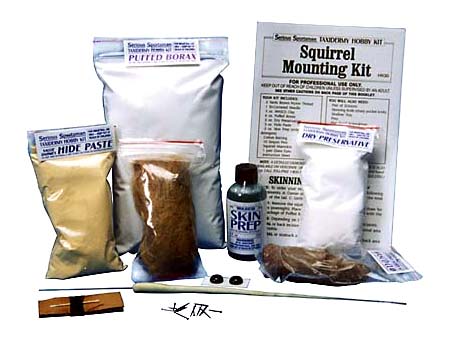 Squirrel Taxidermy Mounting Kit