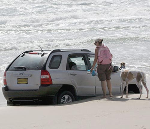 Tide comes in on Kia SUV