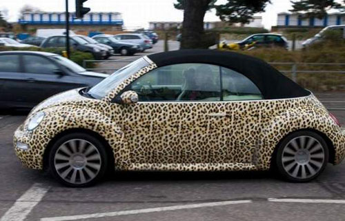 Leopard Spotted VW Beetle