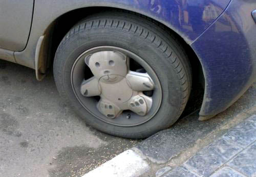 teddy-bear-wheels.jpg
