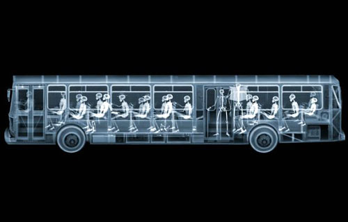 X-Rayed City Bus