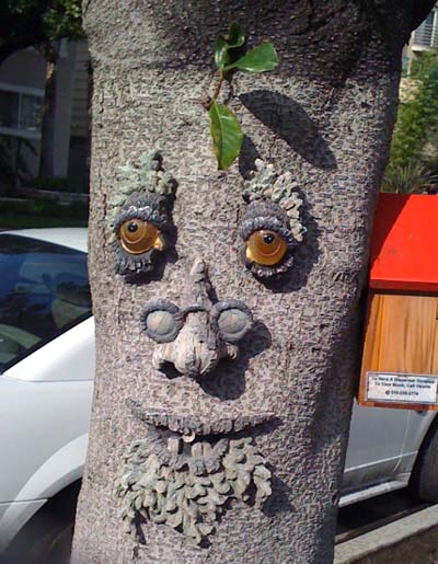 Tree Person