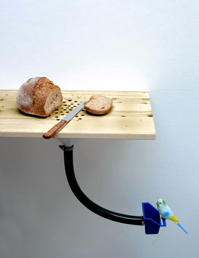 Bread Crumb Bird Feeder