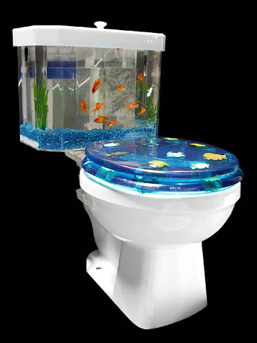 Fish Bowl Toilet