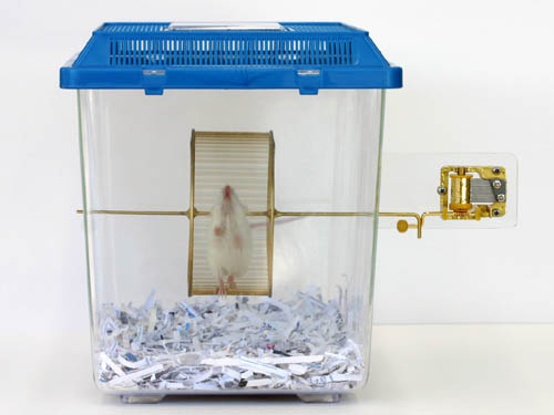 Hamster Powered Music Box