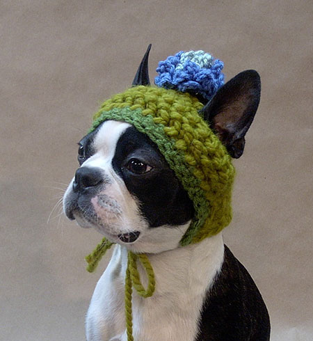 Crocheted Dog Hat